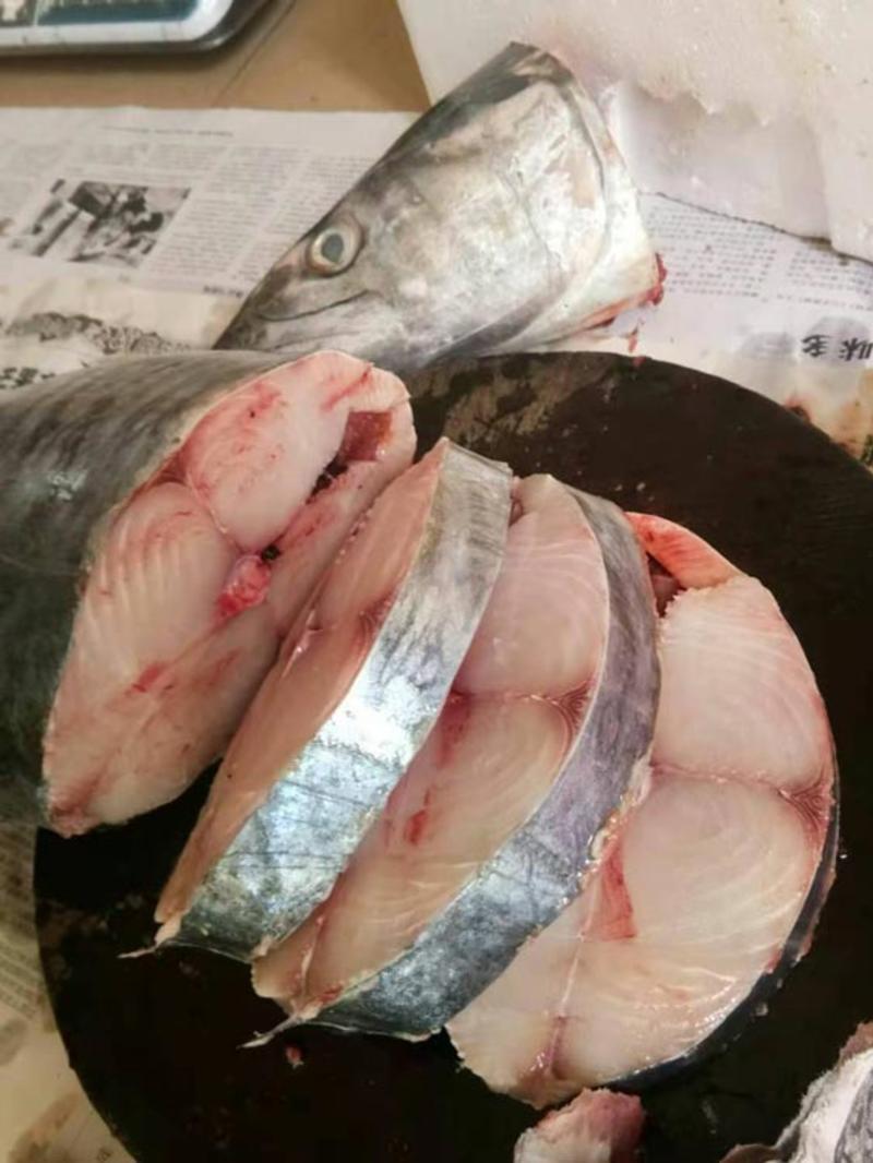 潭门马鲛鱼-小船捕捞马鲛鱼批发尽在锦福益海