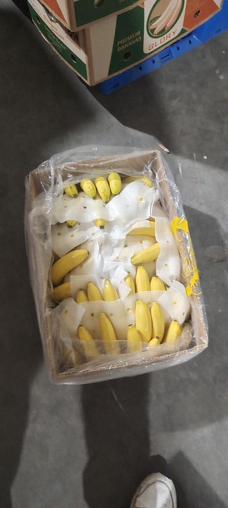 常年供应特价精品菲律宾进口香蕉30斤一箱只要19.9