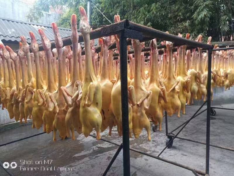 批发白条鸭白条鹅批发鸭肠鹅肠白条樱桃谷鹅肝鹅胗