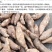 福薯央子专门吃地瓜叶品种菜用苗叶用甘薯种