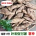福薯央子专门吃地瓜叶品种菜用苗叶用甘薯种