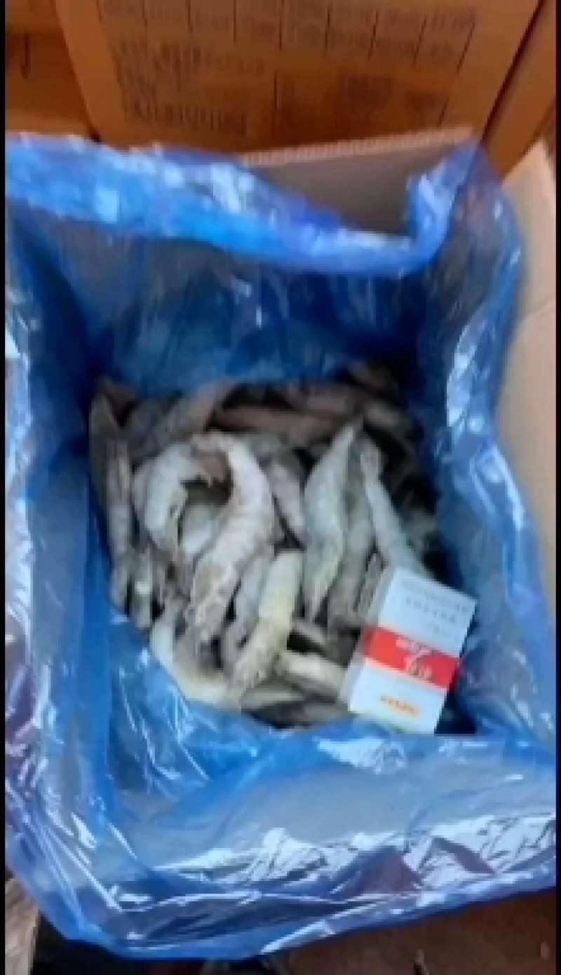 国产高盐度海水虾检验报告合格证净重6斤散装就这一种