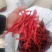 出售干货无帽二荆条精品