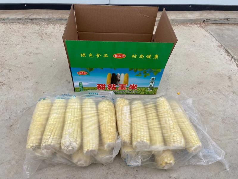 精品】售甜粘玉米、黄白花均有品种齐全、速冻、真空包装都有