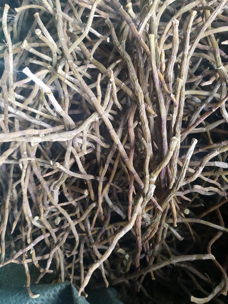浙江品种铁皮石斛干条，芽条，新货，全化渣，基地直发