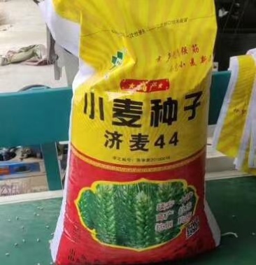 济麦44小麦抗旱抗病抗倒强精红麦