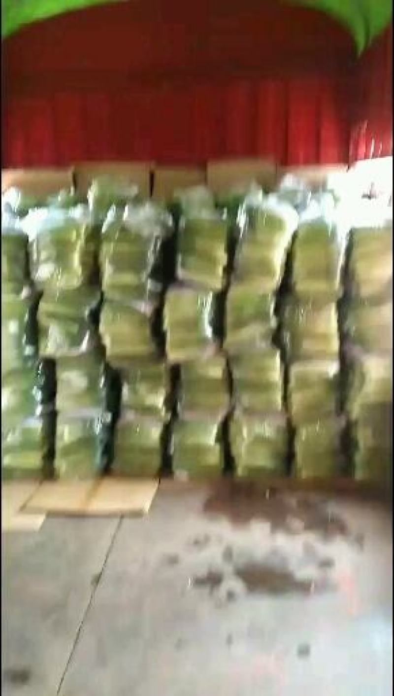 新苗优质黄瓜批量上市，大面积种植欢迎采购