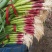 蒜苗粗细均匀，质量好，价格美。欢迎新老客户前来致电。。。