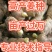 安徽【优质368高产姜种】亩产过万，产地批发，全国发货