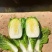 云南黄心大白菜，热卖中，无虫眼，无花心2斤到3斤现砍现卖