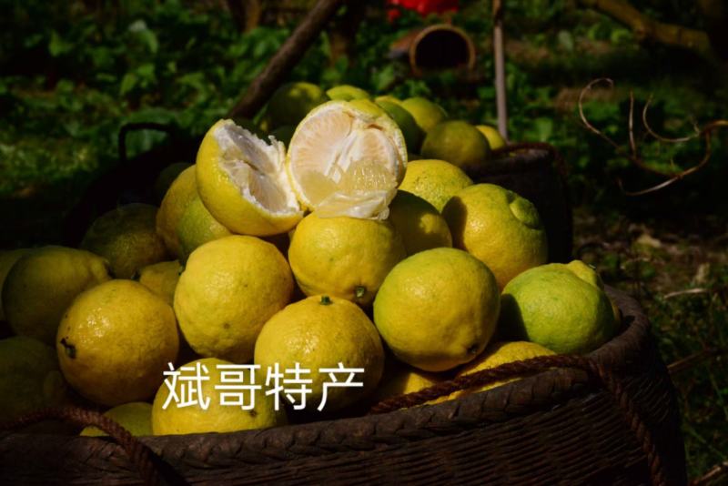 正宗怀化岩垅黄金贡柚保证品质纯甜不酸