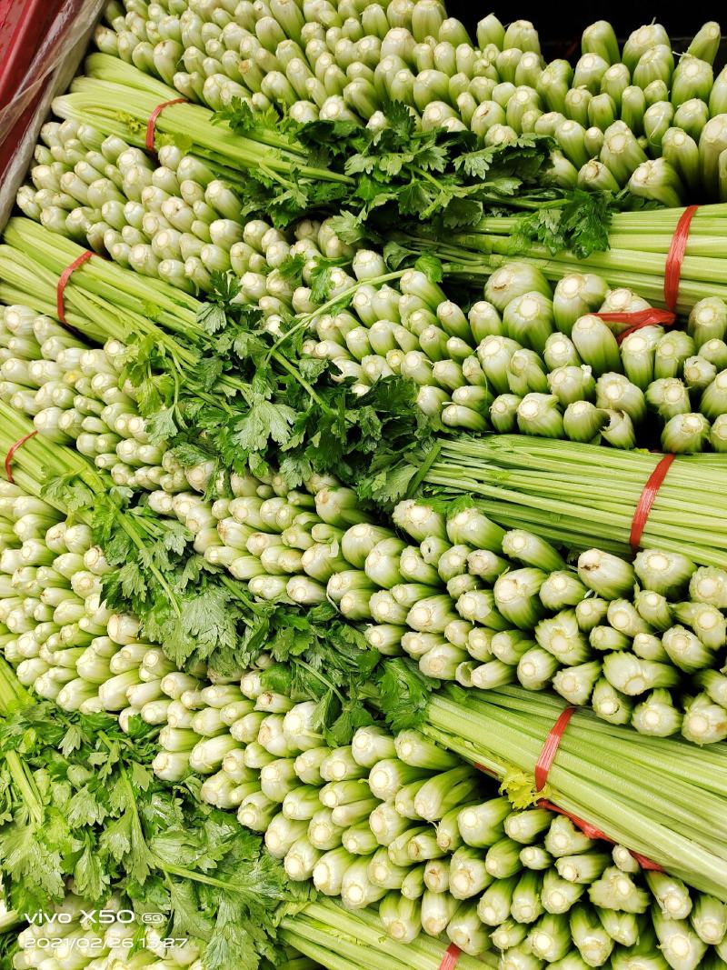 美国西芹大量上市质量好价格便宜对接商超