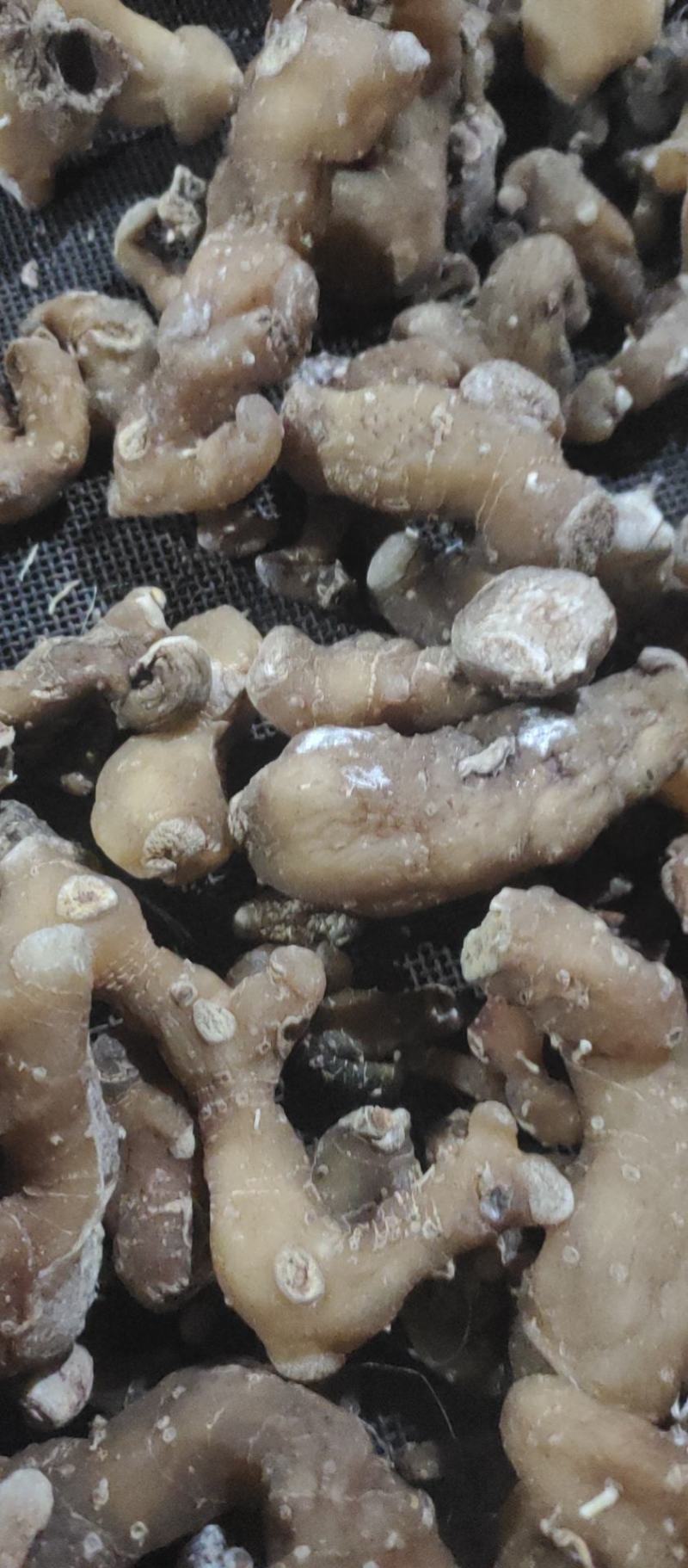 姜形多花甜黄精熟黄精个子各种规格，诚信经营