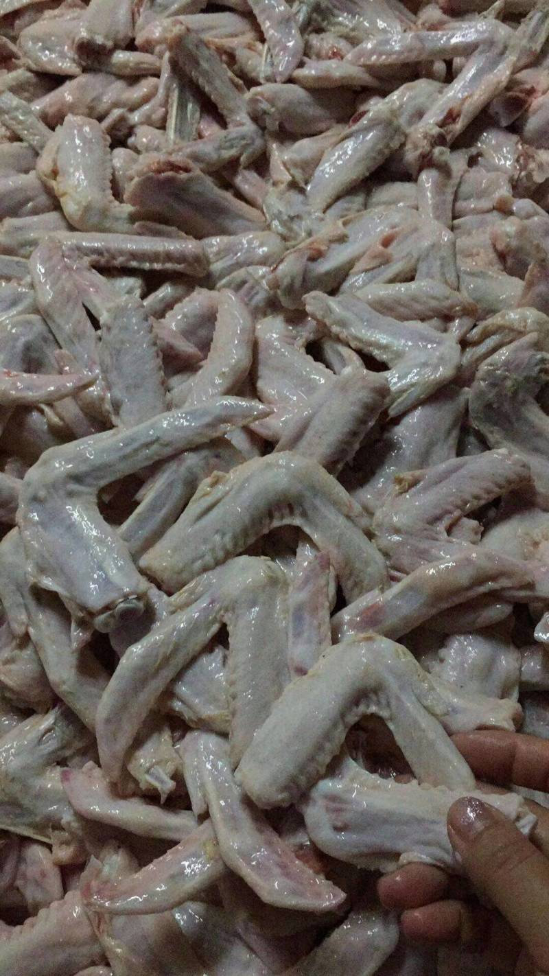 白条鸭厂家直销价格合适