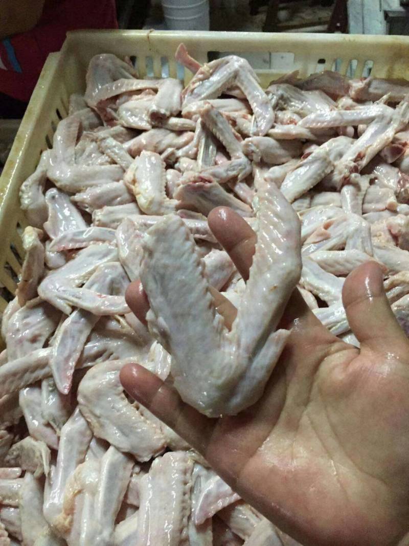 白条鸭厂家直销价格合适