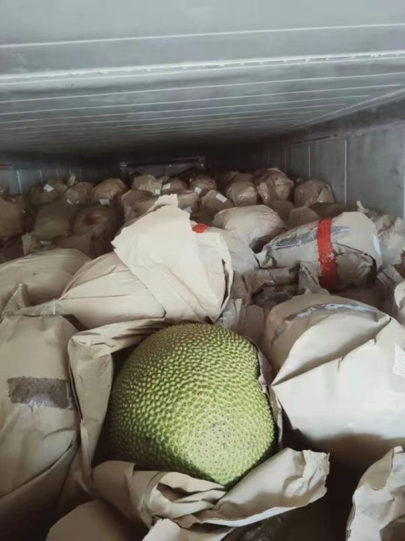 泰国菠萝蜜，香甜可口味道纯正，天冷一样熟，吃了还想着再来