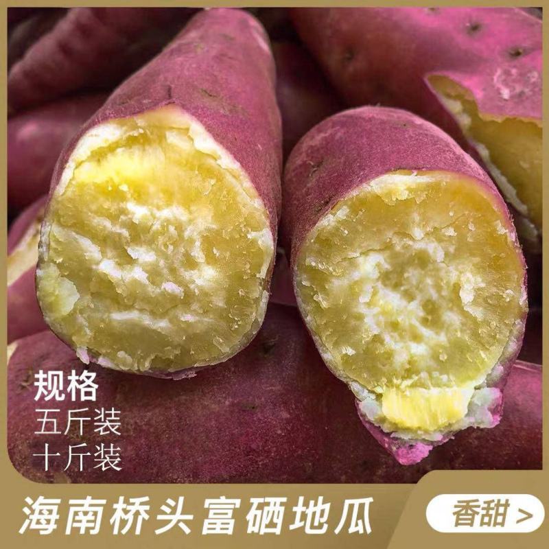 【精品】海南澄迈沙地桥头富硒地瓜新鲜红薯桥沙板栗薯