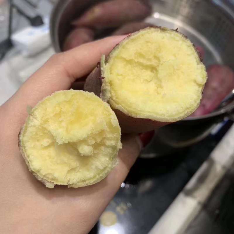 【精品】海南澄迈沙地桥头富硒地瓜新鲜红薯桥沙板栗薯