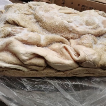 国产半成品牛大肚价格不高质量保证