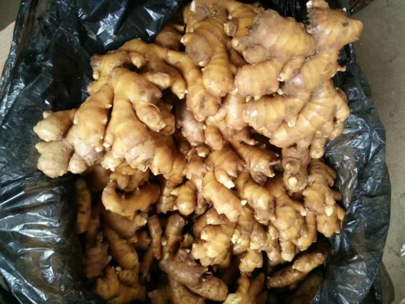优质生姜大黄姜全国发货质量有保障，产地直发