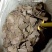 花生饼养殖肥料质量保证欢迎选购