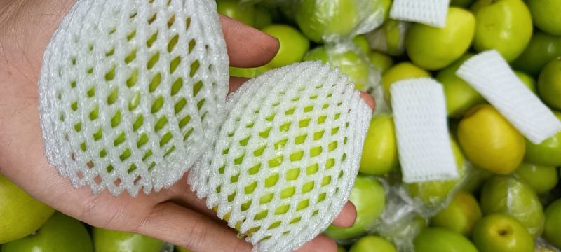 新鲜蜜丝枣新鲜上市，每天现摘现发，诚信代办
