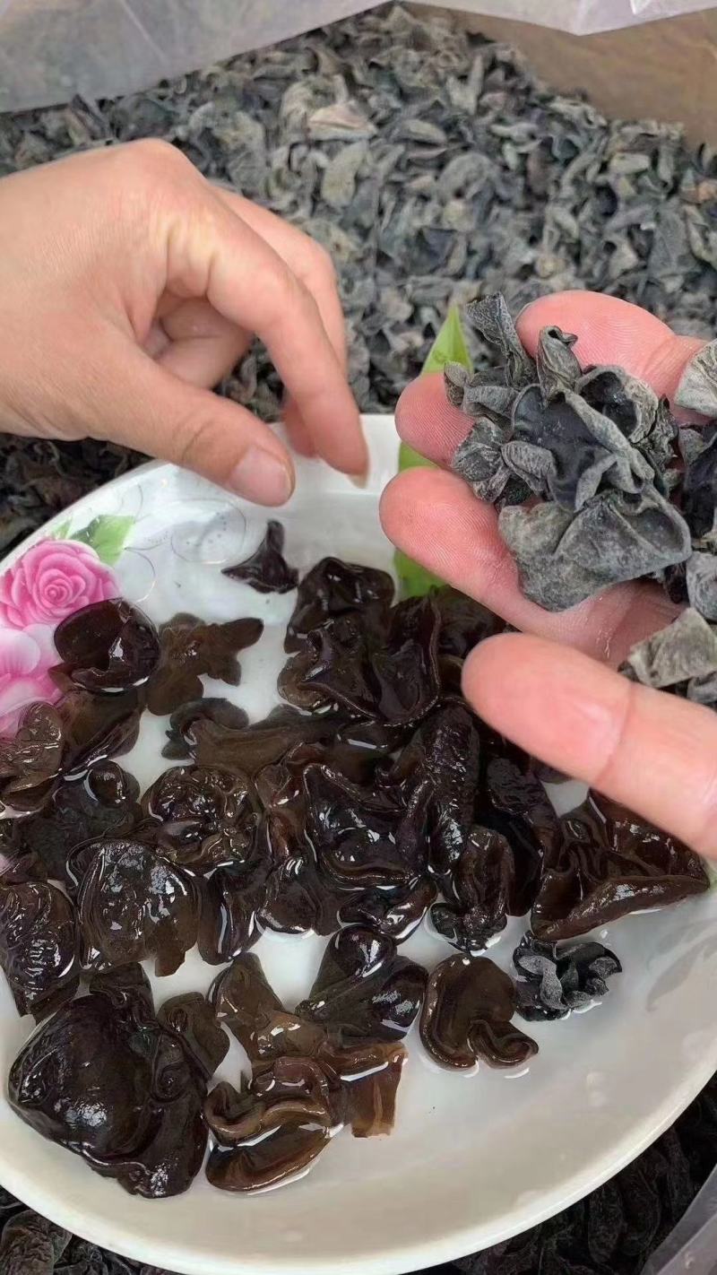木耳东北小木耳地摊赶集热销产品产地直销