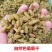 新疆特产葡萄干无籽葡萄干烘培奶茶店用零食