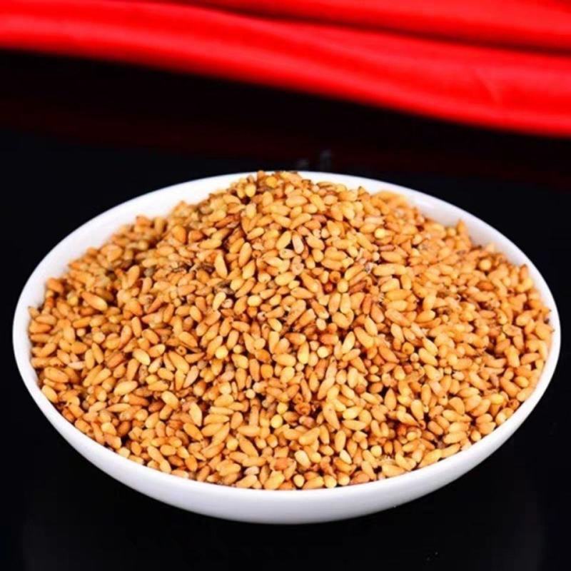 中药材柏子仁柏籽仁净仁干净柏子肉去壳全仁