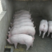 山东大型猪场常年供应良种三元仔猪，品种齐全，防疫到位