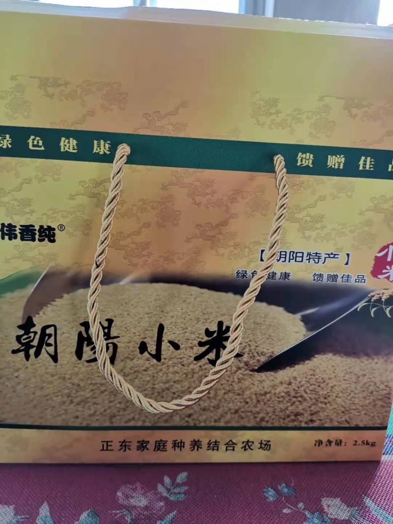 【精品黄小米】小米，品质保证，供应各地批发市场