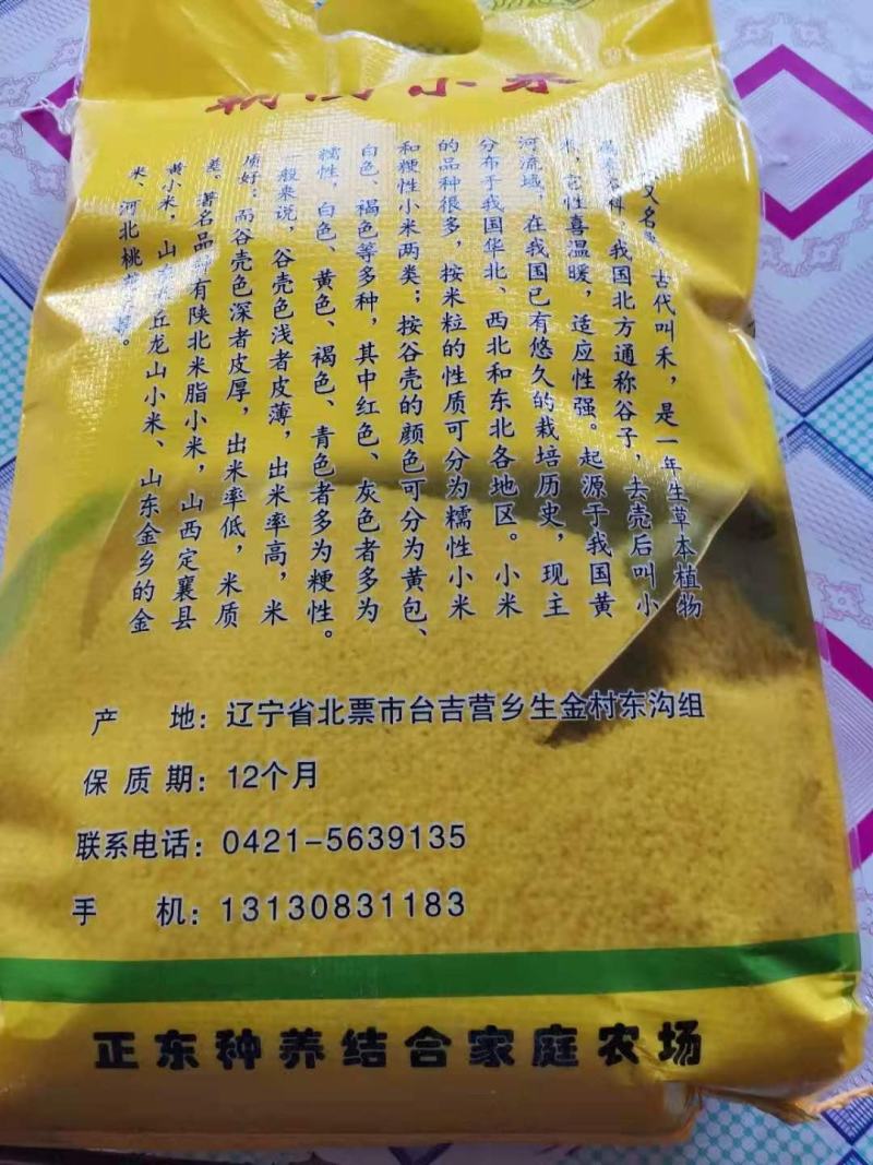 【精品黄小米】小米，品质保证，供应各地批发市场