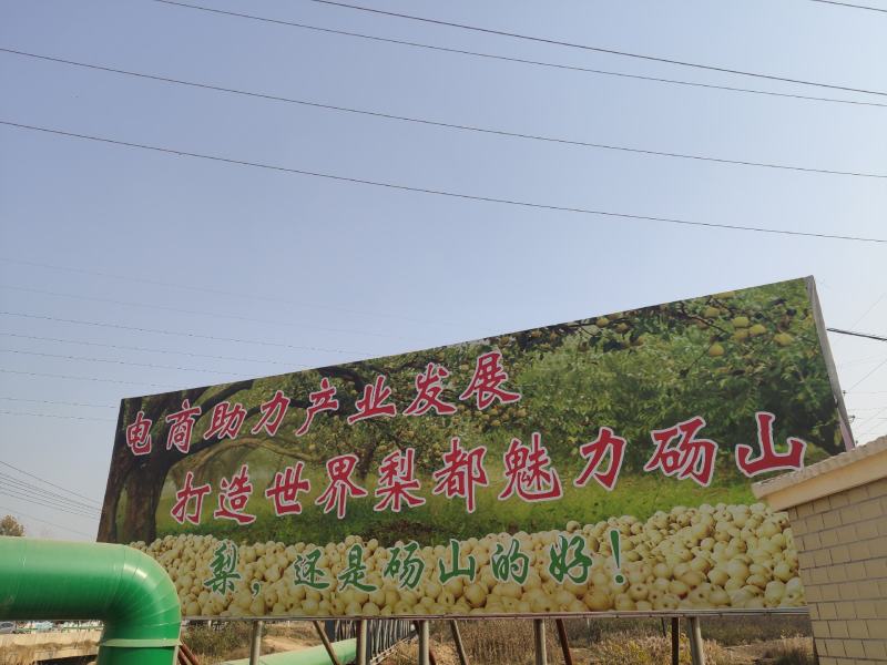 砀山酥梨源产地发货对接电商团队整车批发冷链仓储运输