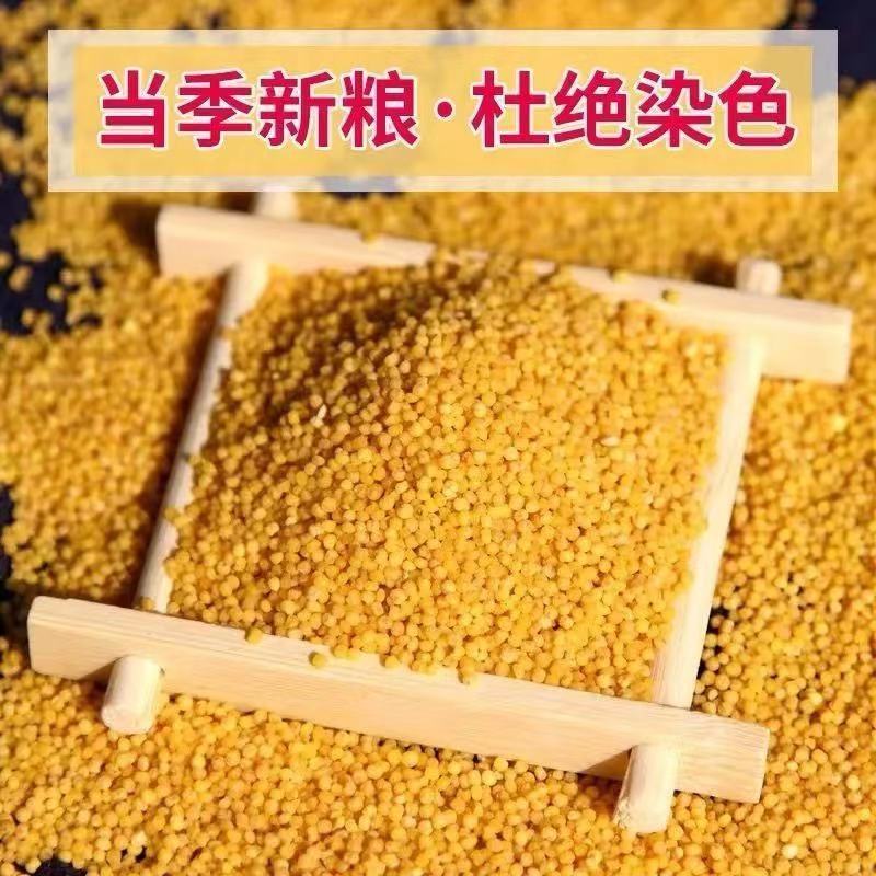 【精品黄小米】小米，品质保证，供应各地批发市场