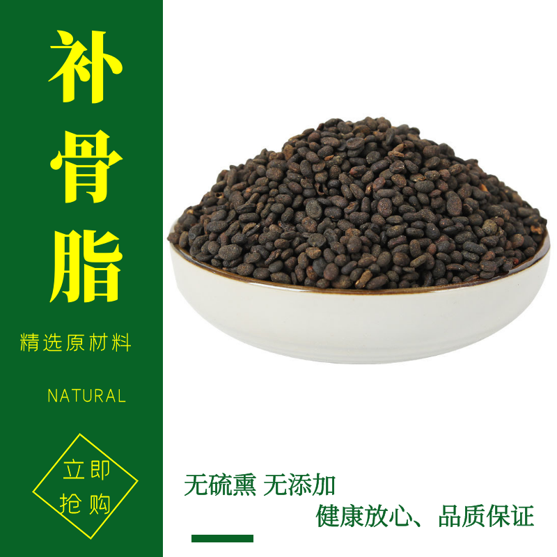 野生补骨脂中药补骨脂炒补骨脂生补骨脂中药补骨脂中