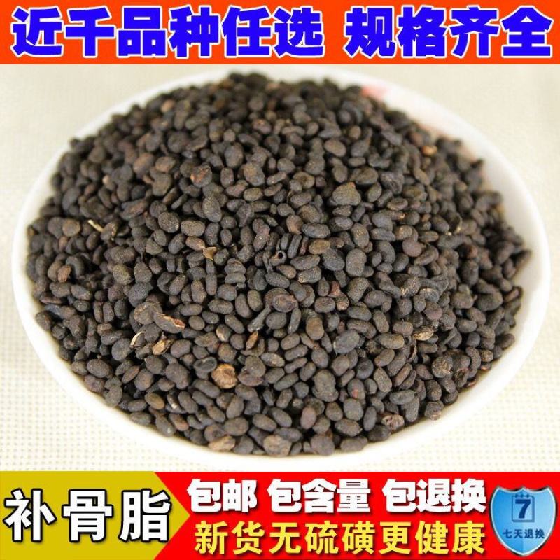 野生补骨脂中药补骨脂炒补骨脂生补骨脂中药补骨脂中