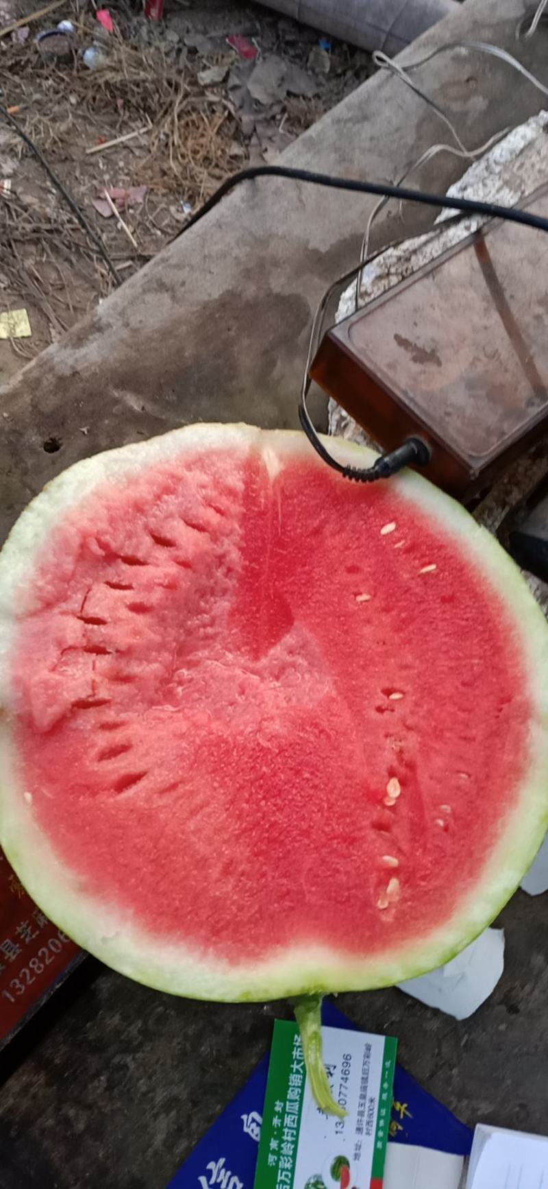 万亩优质大棚精品美都西瓜，，支持视频和产地看货，
