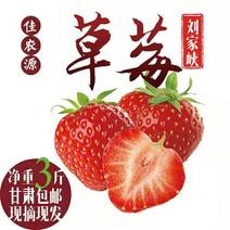 甘肃永靖刘家峡香奶甜草莓
