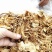 茶树菇/金针菇，菌类佳品，2021年的新货，需要老板联系