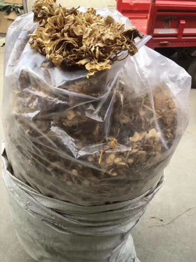 茶树菇/金针菇，菌类佳品，2021年的新货，需要老板联系