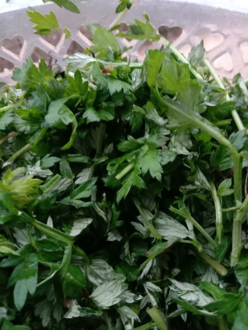 艾叶，艾草，春艾，五月艾，艾草精油，自然生长，味道清香