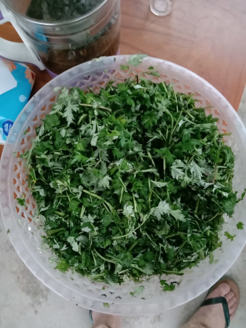艾叶，艾草，春艾，五月艾，艾草精油，自然生长，味道清香