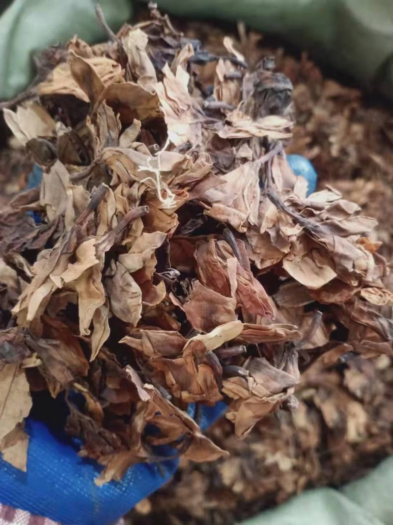 鸡蛋花，进口鸡蛋花质量保证，经营各种中药材欢迎咨询合作！