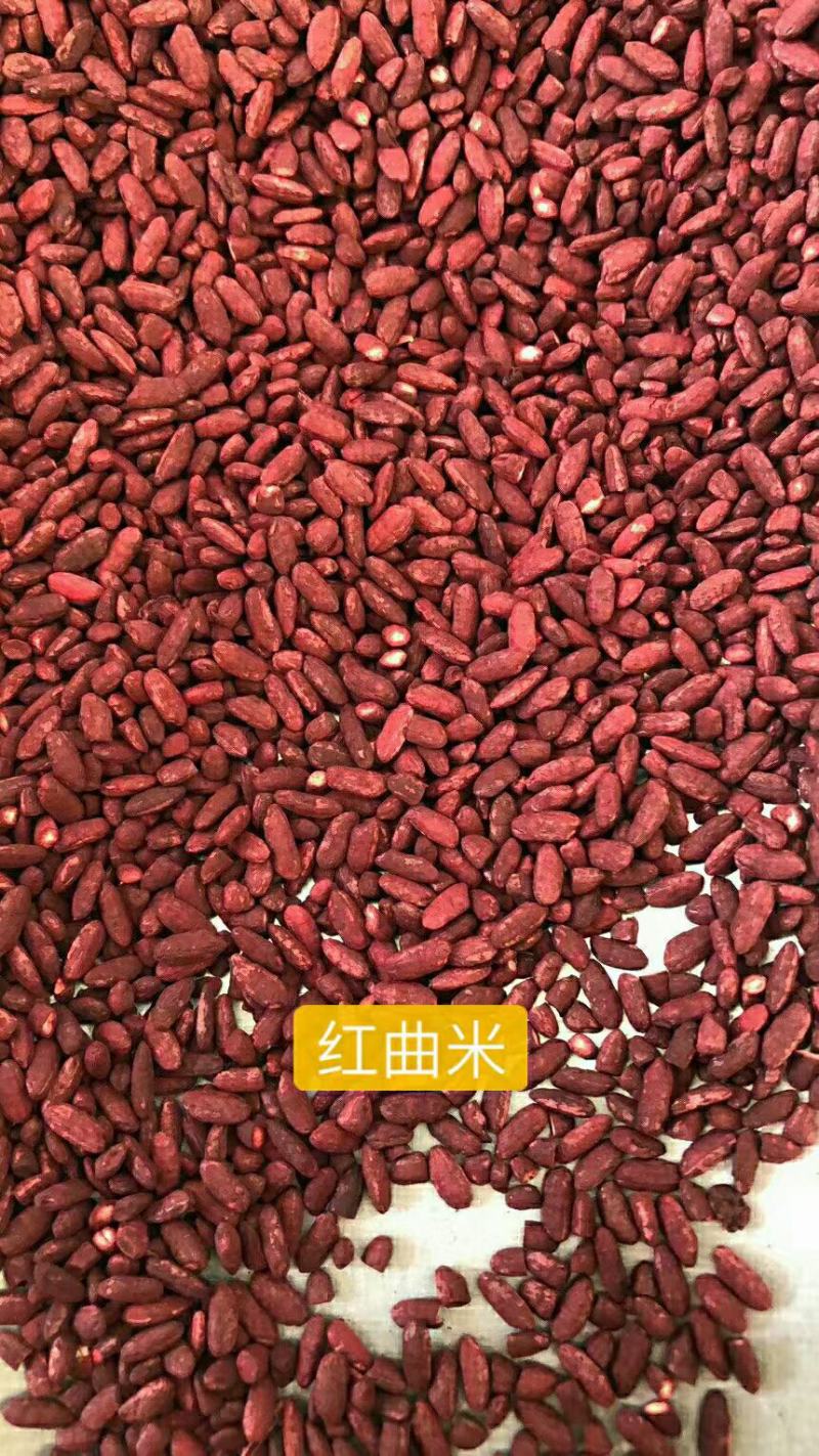 红曲，中药材红曲米质量保证，经营各种中药材欢迎咨询合作！