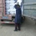 来自香菇之乡河南西峡的优质高产的优质椴木袋料香菇菌种