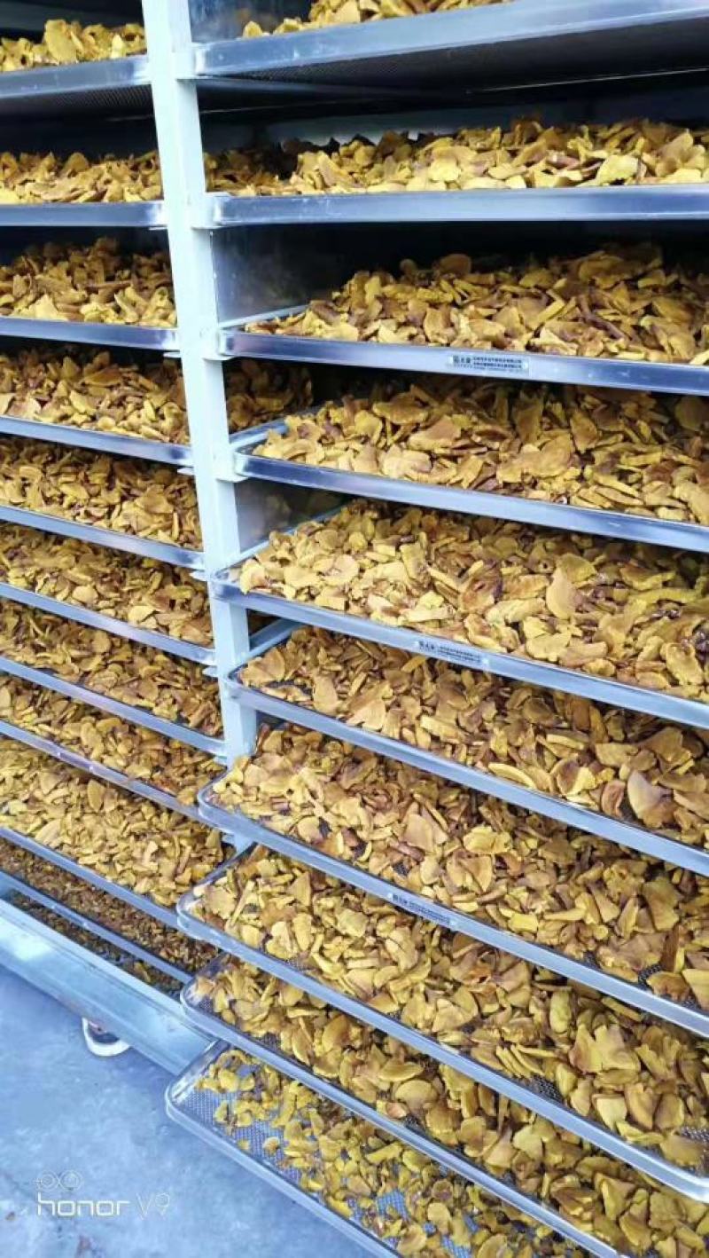 来自香菇之乡河南西峡的优质高产的优质椴木袋料香菇菌种