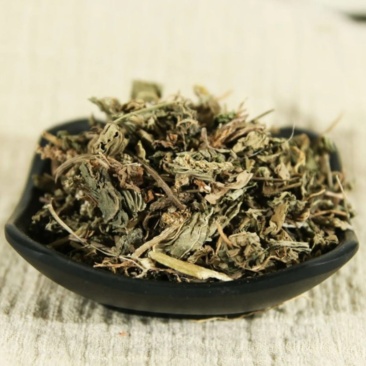 振兴药材批发供应车前草产地直销价现货批发可常年供
