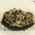 振兴药材批发供应车前草产地直销价现货批发可常年供