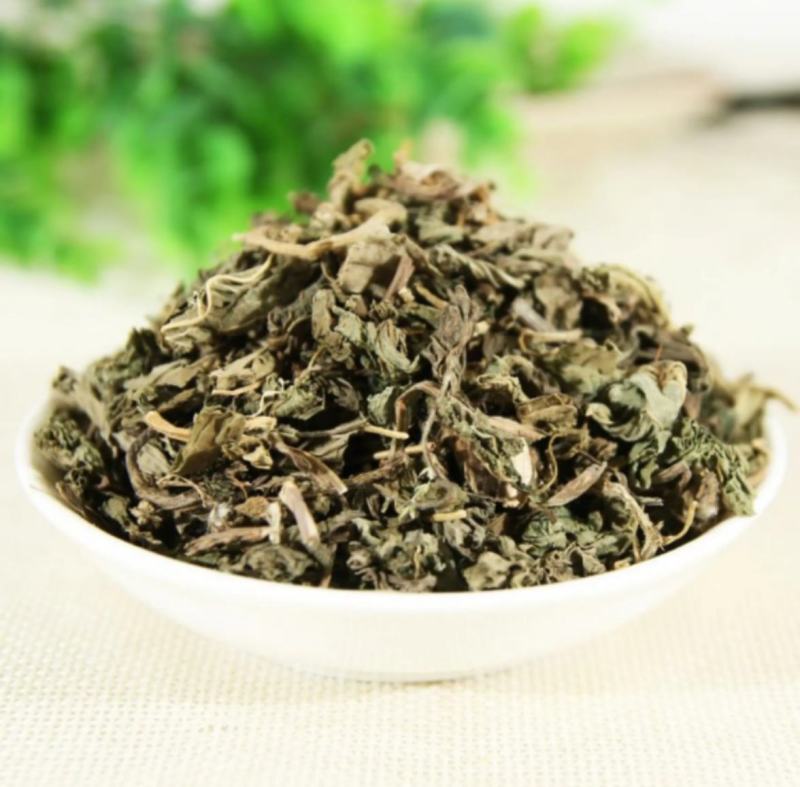 振兴药材批发供应车前草产地直销价现货批发可常年供