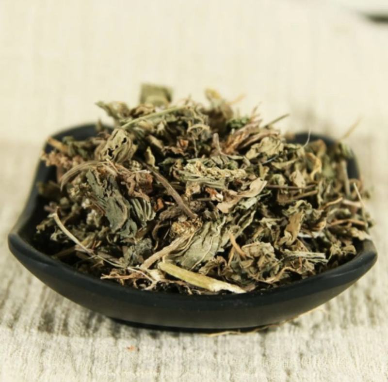 振兴药材批发供应车前草产地直销价现货批发可常年供